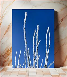Πίνακας, Frosty Branches Against Clear Blue Sky Παγωμένα κλαδιά ενάντια στον καθαρό μπλε ουρανό