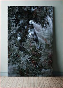 Πίνακας, Frosty Foliage in Winter Παγωμένο φύλλωμα το χειμώνα
