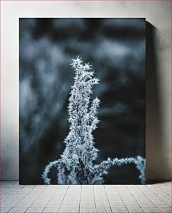 Πίνακας, Frosty Plant in Winter Παγωμένο φυτό το χειμώνα