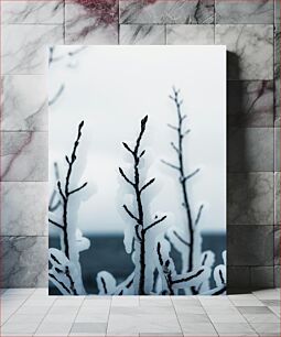 Πίνακας, Frozen Branches Κατεψυγμένα Κλαδιά