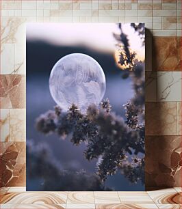 Πίνακας, Frozen Bubble in Nature Παγωμένη φούσκα στη φύση