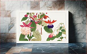 Πίνακας, Fuchsia flower, Japanese woodblock art