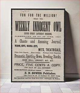 Πίνακας, Fun for the million! Read the Weekly Innocent Owl issued every Saturday morning, commencing on 15th of June, 1867