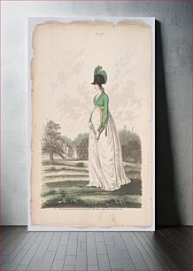 Πίνακας, Gallery of Fashion, vol. V: April 1, 1798 - March 1 1799, Nicolaus Heideloff (publisher)