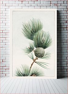 Πίνακας, Gayo matsu pine during 1870–1880 by Megata Morikaga