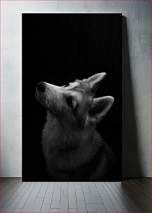 Πίνακας, Gaze of a Dog Βλέμμα ενός σκύλου