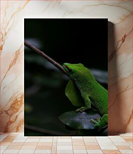 Πίνακας, Gecko on a Branch Gecko σε ένα κλαδί