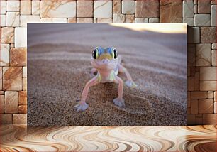 Πίνακας, Gecko on Sand Gecko στην άμμο