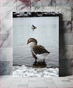 Πίνακας, Geese by the Lake Χήνες δίπλα στη λίμνη