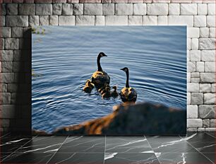 Πίνακας, Geese Family on a Lake Οικογένεια Χήνων σε Λίμνη
