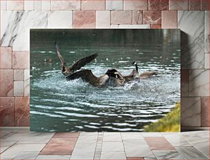 Πίνακας, Geese Splashing in a Pond Χήνες που πιτσιλίζουν σε μια λίμνη