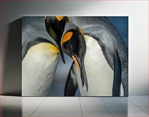 Πίνακας, Gentle Embrace of Penguins Ευγενική αγκαλιά των πιγκουίνων