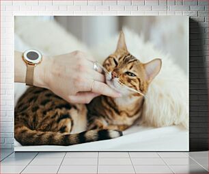 Πίνακας, Gentle Petting of a Cat Ευγενικό χάιδεμα μιας γάτας