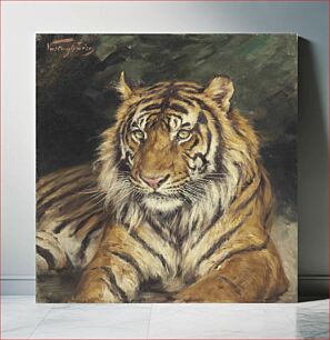 Πίνακας, Géza Vastagh - A Reclining Tiger