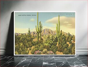 Πίνακας, Giant cactus, Phoenix, Arizona