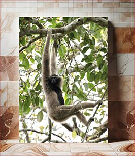 Πίνακας, Gibbon Hanging from Tree Gibbon που κρέμεται από το δέντρο