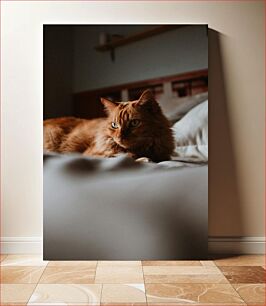 Πίνακας, Ginger Cat Relaxing on Bed Τζίντζερ Γάτα που χαλαρώνει στο κρεβάτι
