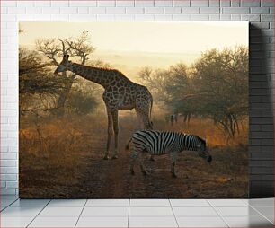Πίνακας, Giraffe and Zebra in African Landscape Καμηλοπάρδαλη και ζέβρα σε αφρικανικό τοπίο