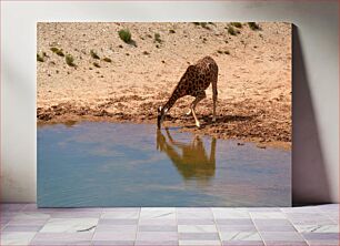 Πίνακας, Giraffe Drinking Water by the Lake Καμηλοπάρδαλη πόσιμο νερό δίπλα στη λίμνη