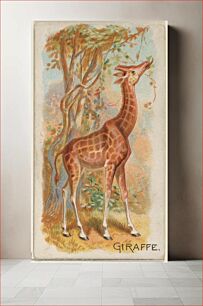 Πίνακας, Giraffe, from the Quadrupeds series (N21) (1890) color lithograph by Allen & Ginter Cigarettes