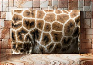 Πίνακας, Giraffe Fur Texture Υφή γούνας καμηλοπάρδαλης