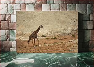 Πίνακας, Giraffe in Arid Landscape Καμηλοπάρδαλη σε άνυδρο τοπίο