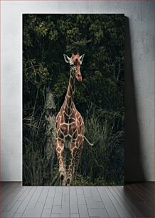 Πίνακας, Giraffe in the Forest Καμηλοπάρδαλη στο δάσος