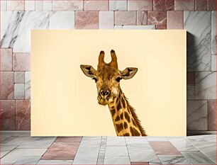 Πίνακας, Giraffe Portrait Πορτρέτο καμηλοπάρδαλης