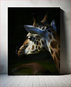 Πίνακας, Giraffe Profile Προφίλ καμηλοπάρδαλης