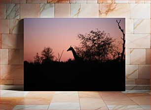 Πίνακας, Giraffe Silhouette at Sunset Σιλουέτα καμηλοπάρδαλης στο ηλιοβασίλεμα
