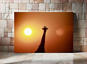 Πίνακας, Giraffe Silhouette at Sunset Σιλουέτα καμηλοπάρδαλης στο ηλιοβασίλεμα