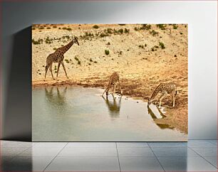 Πίνακας, Giraffes by the Waterhole Giraffes by the Waterhole