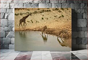 Πίνακας, Giraffes Drinking Water at a Waterhole Καμηλοπαρδάλεις που πίνουν νερό σε μια νεροτρύπα