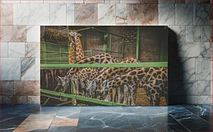 Πίνακας, Giraffes in Enclosure Καμηλοπαρδάλεις σε περίβολο