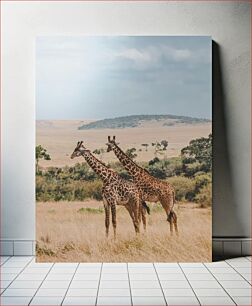 Πίνακας, Giraffes in the Savanna Καμηλοπαρδάλεις στη Σαβάνα