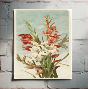 Πίνακας, Gladiolus by Ellen Thayer Fisher