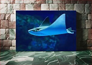 Πίνακας, Gliding Ray Underwater Gliding Ray Υποβρύχια