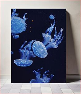 Πίνακας, Glowing Blue Jellyfish Λαμπερή μπλε μέδουσα