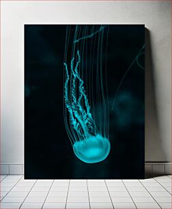 Πίνακας, Glowing Jellyfish Λαμπερή μέδουσα