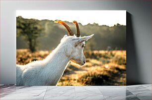 Πίνακας, Goat at Sunrise Κατσίκα στην Ανατολή