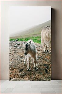 Πίνακας, Goat in Foggy Pasture Κατσίκα σε ομιχλώδες λιβάδι
