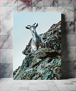 Πίνακας, Goat on a Rock Κατσίκα σε βράχο