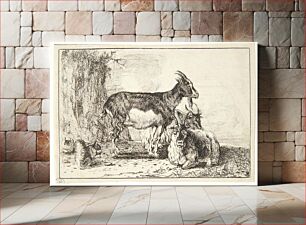 Πίνακας, Goats by Jan Van Den Hecke I