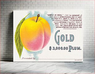 Πίνακας, Gold $3,000.00 plum (1870–1900) chromolithograph art