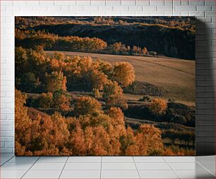 Πίνακας, Golden Autumn Forest Χρυσό Φθινοπωρινό Δάσος