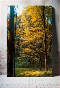 Πίνακας, Golden Autumn Forest Χρυσό Φθινοπωρινό Δάσος