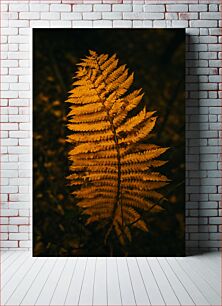 Πίνακας, Golden Fern in the Dark Golden Fern in the Dark