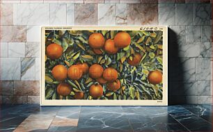 Πίνακας, Golden Florida oranges