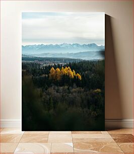 Πίνακας, Golden Forest in Front of Mountains Χρυσό Δάσος Μπροστά στα Βουνά