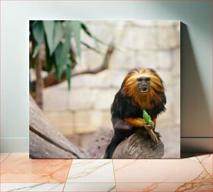 Πίνακας, Golden Lion Tamarin on a Branch Golden Lion Tamarin σε ένα κλαδί